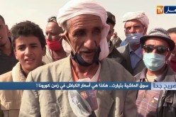 صريح جدا: سوق الماشية بتيارت.. هكذا هي أسعار الكباش في زمن كورونا !
