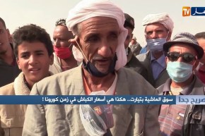 صريح جدا: سوق الماشية بتيارت.. هكذا هي أسعار الكباش في زمن كورونا !