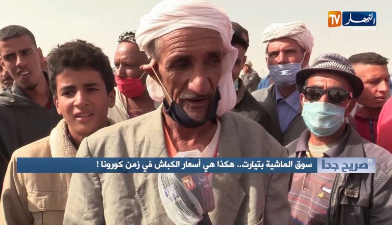 صريح جدا: سوق الماشية بتيارت.. هكذا هي أسعار الكباش في زمن كورونا !