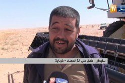 غرداية: فلاحون يرفعون التحدي و يحققون رقما قياسيا في إنتاج الحبوب