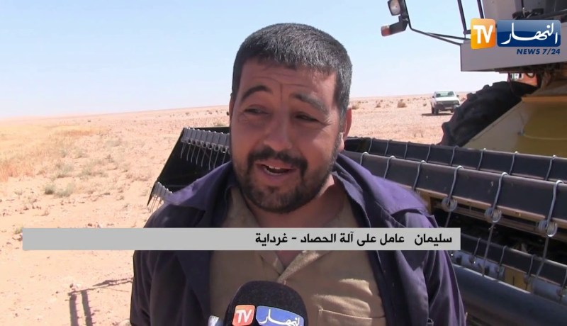 غرداية: فلاحون يرفعون التحدي و يحققون رقما قياسيا في إنتاج الحبوب