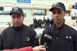 وهران: تفكيك شبكة إجرامية مختصة في تزوير الملفات ووثائق إدارية