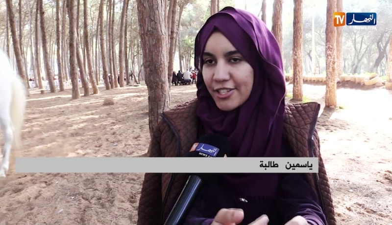 مجتمع/ الأبراج ورغم كل ما يقال عنها…جزائريون في رحلة البحث عن الحظ