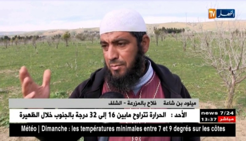 الشلف: مزارع ..من نموذج في الإنتاج الوفير إلى عينة لسوء المتابعة