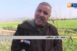 مستغانم: بئر بعمق 300 متر.. خطر على الرعاة والأطفال