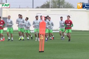 الخضر يستأنفون التدريبات إستعدادا لمواجهة تونس الودية