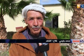 قهوة وجورنان/ الشلف.. مسنون يقبلون على مراكز التكوين لتأهيل خبراتهم..