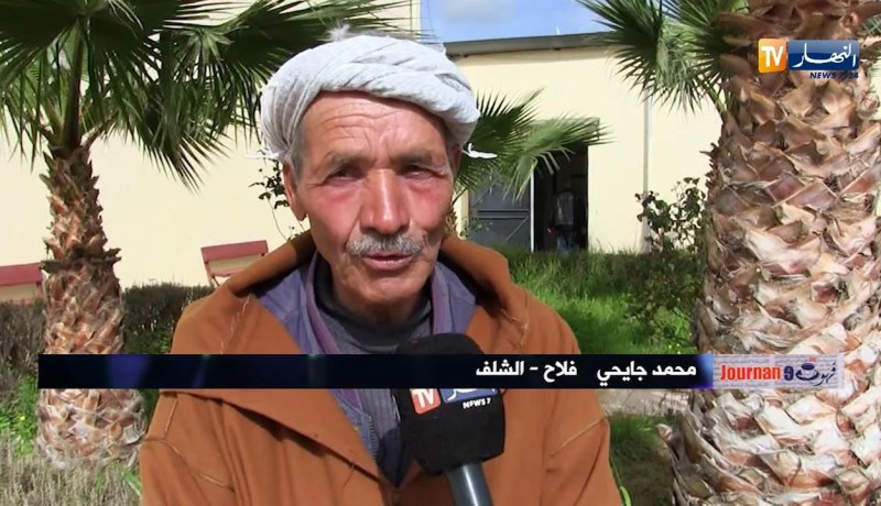 قهوة وجورنان/ الشلف.. مسنون يقبلون على مراكز التكوين لتأهيل خبراتهم..