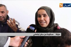 سكن: بعد ترحيله لسكن جديد.. عامر يفتح صفحة جديدة عنوانها العيش الكريم