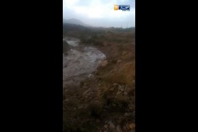 سطيف: أمطار طوفانية بمنطقة بوطالب جنوب الولاية
