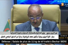 الهجرة غير الشرعية: الأمن وتنمية الحدود.. أهم ملفات اللجنة الجزائرية النيجيرية