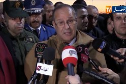 بوعزقي: “مستثمرة تربية الأبقار بالجلفة ستحتوي على 20 ألف بقرة لإنتاج مسحوق الحليب”