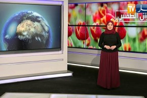 موجة حر مرتقبة ☀️ .. درجات حرارة قياسية 🌡️ على أغلب المناطق