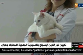 القط الروسي “أخيل” يتنبأ بتتويج ألمانيا بكأس العالم 2018