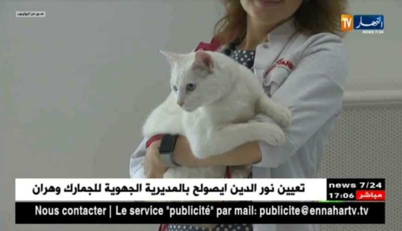 القط الروسي “أخيل” يتنبأ بتتويج ألمانيا بكأس العالم 2018