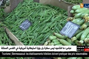 تجارة: أسواق العاصمة تزود بـ 1 مليون قنطار من الخضر والفواكه تحسبا لشهر رمضان
