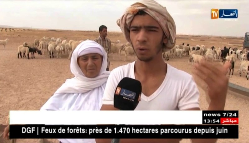 الجلفة/ “رعي الغنم”…فئة تصارع من أجل البقاء وسط غياب الإمكانيات