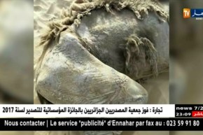 الأحواض البترولية المهملة تتحول إلى مقابر للإبل في الوادي