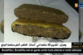 غرداية: الدرك الوطني يفكك شبة أفارقة تتاجر بالمرخوانة