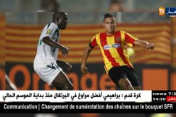 بلايلي يخوض أول حصة تدريبية مع الترجي و إدارة الفريق تؤكد تأهيله