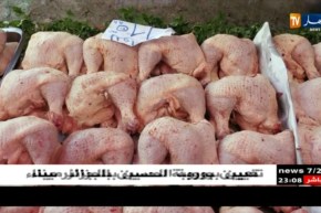 تجارة : عشية عيد الفطر..أسعار الدجاج على عتبة 400 دج