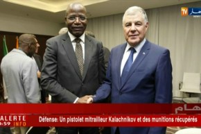 طاقة: تعزيز العلاقات الثنائية بين الجزائر ومالي في مجال الهيدروكربونات