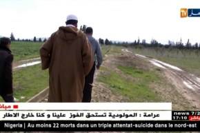 الشلف: مزارع.. من نموذج في الإنتاج الوفير إلى عينة لسوء المتابعة