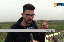 تجارة: من الحقل إلى الزبون.. فلاحون يعرضون سلعهم على الأرصفة والطرقات