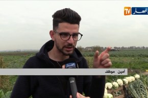 تجارة: من الحقل إلى الزبون.. فلاحون يعرضون سلعهم على الأرصفة والطرقات