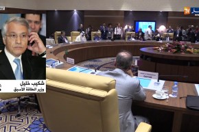 شكيب خليل: “منظمة الأوبك تنتج حوالي 32.6 مليون برميل ..لكن طلبها أكثر من ذلك !