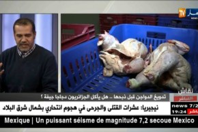 رئيس منظمة حماية المستهلك: هناك مذابح تقوم بصرع الدواجن