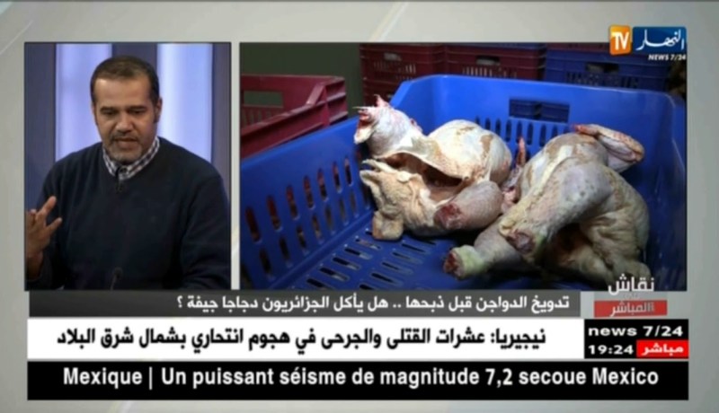 رئيس منظمة حماية المستهلك: هناك مذابح تقوم بصرع الدواجن