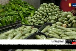 تجارة: اللفت بـ 180 دج والكوسة بـ 80 دج.. أسعار الخضر تلتهب عشية عيد الأضحى
