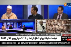 نقاش على المباشر: ممثل وزارة الشؤون الدينية يفتي بجواز صعق الدواجن والشيخ شمس الدين يردّ عليه
