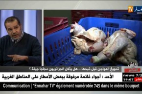 نقاش على المباشر: تدويخ الدواجن قبل ذبحها..هل يأكل الجزائريون دجاجا جيفة ؟