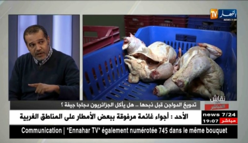 نقاش على المباشر: تدويخ الدواجن قبل ذبحها..هل يأكل الجزائريون دجاجا جيفة ؟