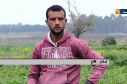 فلاحون يستثمرون في زراعة القصبر والمعدنوس