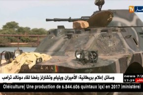 مالي :  مقتل 12 مدنيا في هجوم مسلح شمال شرق البلاد