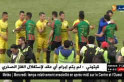 بعد موجة الإنتقادات .. الوزير يبرئ زطشي من كارثة حملاوي !!