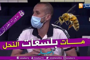 “ماوراء الجدران: أمين..  “جاري كان سبب في موت والدي