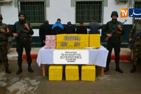 توقيف 7 تجار مخدرات وحجز 272.5 كلغ من الكيف المعالج بتلمسان والنعامة