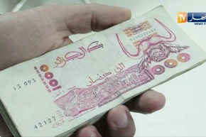 مالية: وداعا لصور الحيوانات.. يوغورطة والأمير عبد القادر في الأوراق النقدية