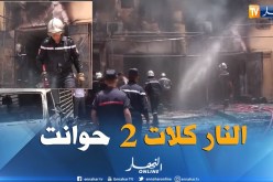 غرداية: حريق مهول يلتهم محلين تجاريين وسيارتين