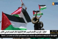 فلسطين: الذكرى 49 لإحراق المسجد الأقصى جمعة ثوار من أجل القدس والأقصى بغزة