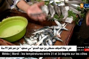 سمك السردين يعود للموائد الجزائرية بسعر 100 دينار للكيلوغرام الواحد