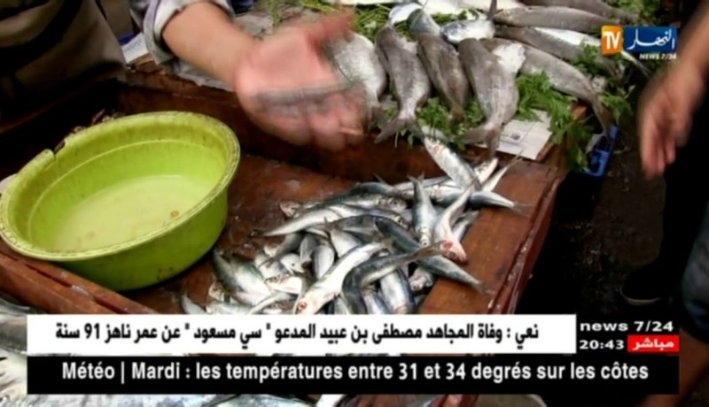 سمك السردين يعود للموائد الجزائرية بسعر 100 دينار للكيلوغرام الواحد
