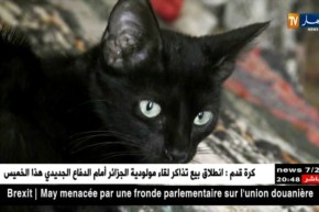 تيارت: العايزة.. عجوز أرملة تعيش داخل كوخ مهدد بالإنهيار منذ العهد الإستعماري