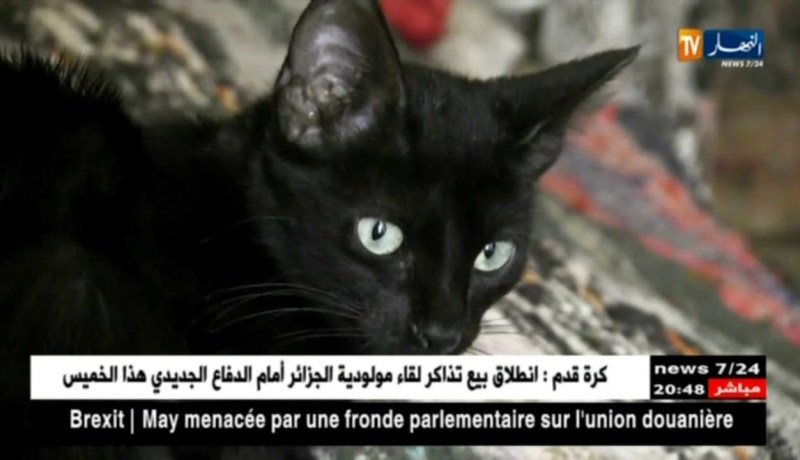 تيارت: العايزة.. عجوز أرملة تعيش داخل كوخ مهدد بالإنهيار منذ العهد الإستعماري