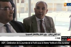 ورقلة: زعلان يعطي إشارة دخول ترامواي الولاية حيز الخدمة