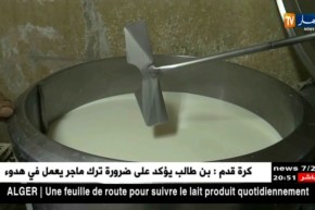 أصحاب الملبنات ملزمون بوضع ورقة طريق لتتبع الحليب المنتج يوميا